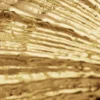 Anello a conchiglia placcato oro Zalio